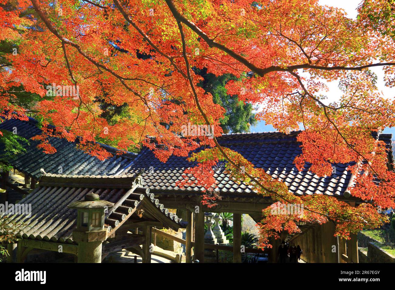 Lascia Long Valley Temple Foto Stock