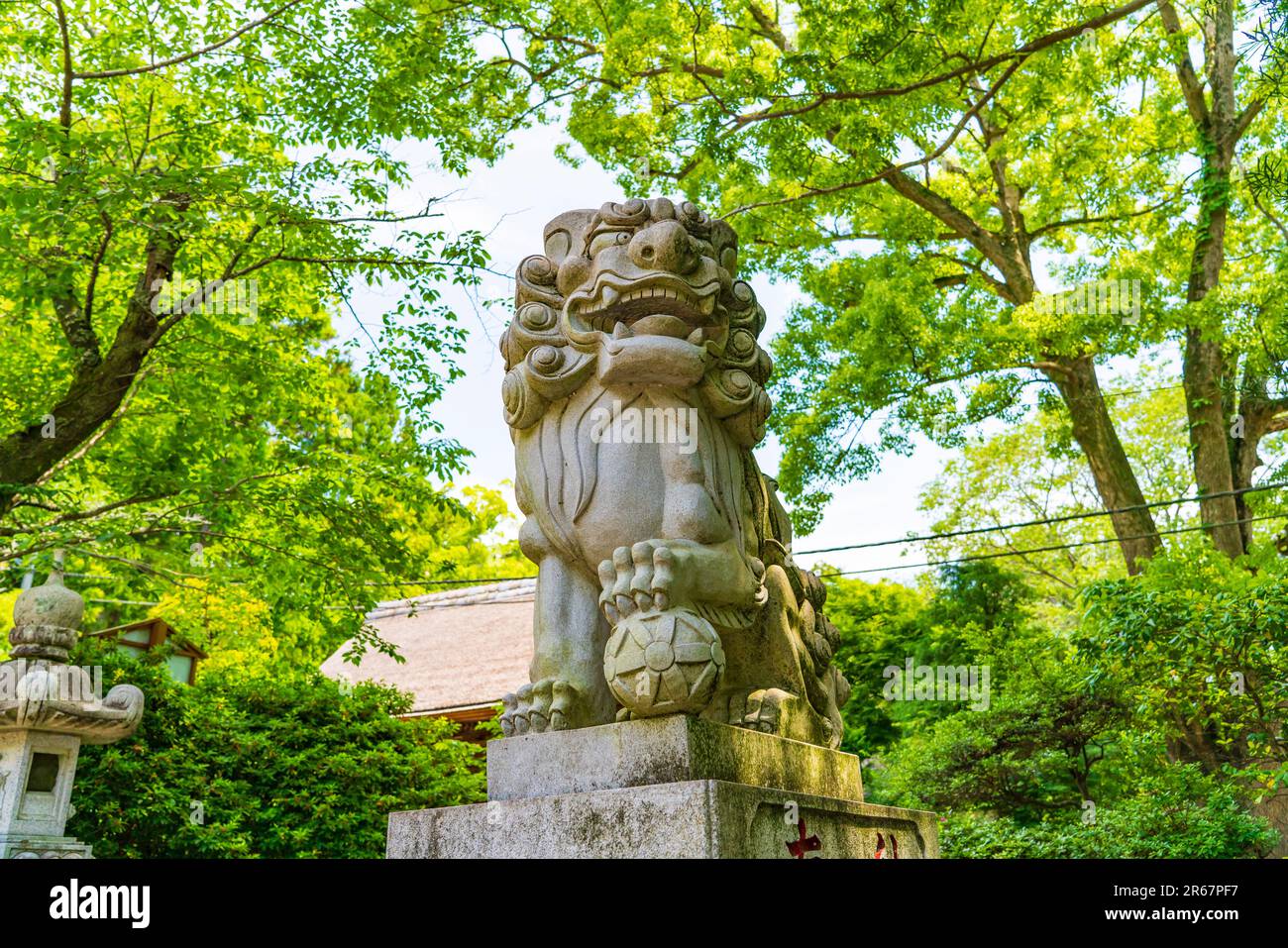 Santuario Katori Jingu in verde fresco Foto Stock