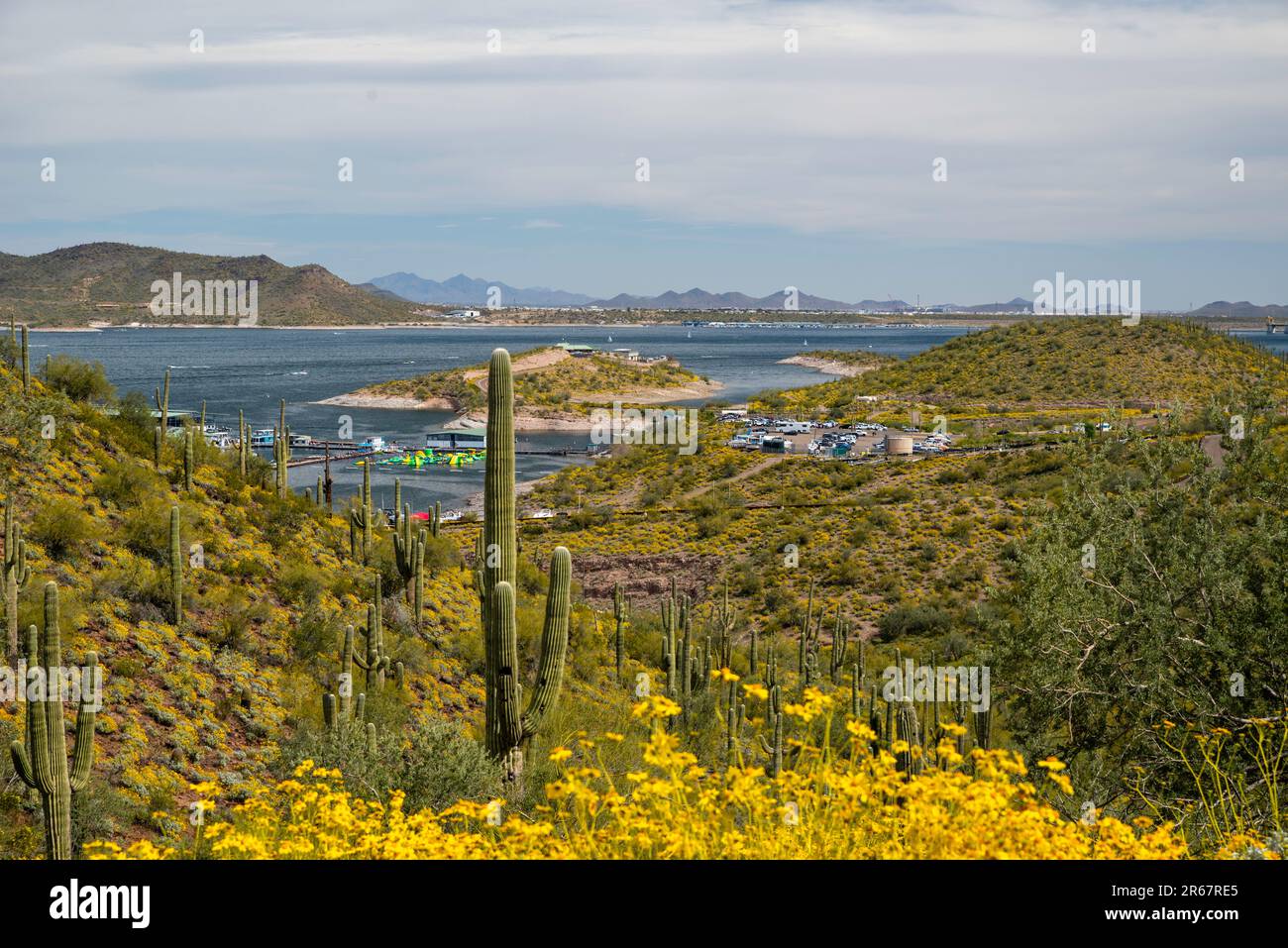 Vista sul parco regionale del lago Pleasant, vicino a Phoenix, Arizona, USA, in una splendida giornata primaverile. Foto Stock