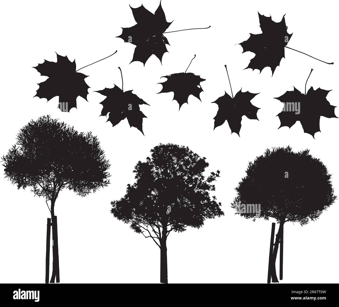 Set di vettore di alberi e foglie di acero sagome Illustrazione Vettoriale