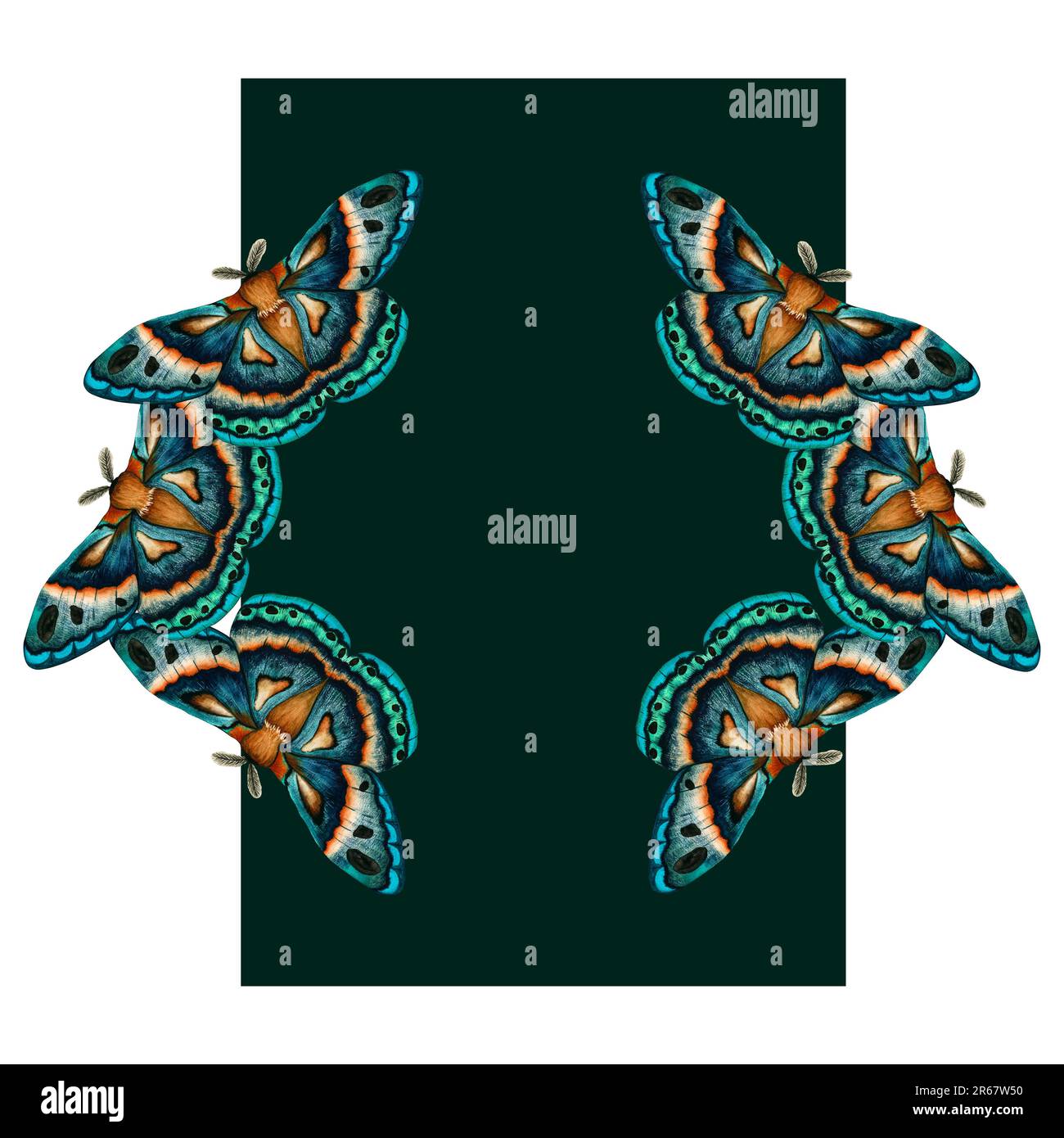 Cornice con acquerello blu verde chiaro isolato su sfondo bianco. Clip art mano dipinta farfalla imperiale notte. Insetto per il disegno Foto Stock