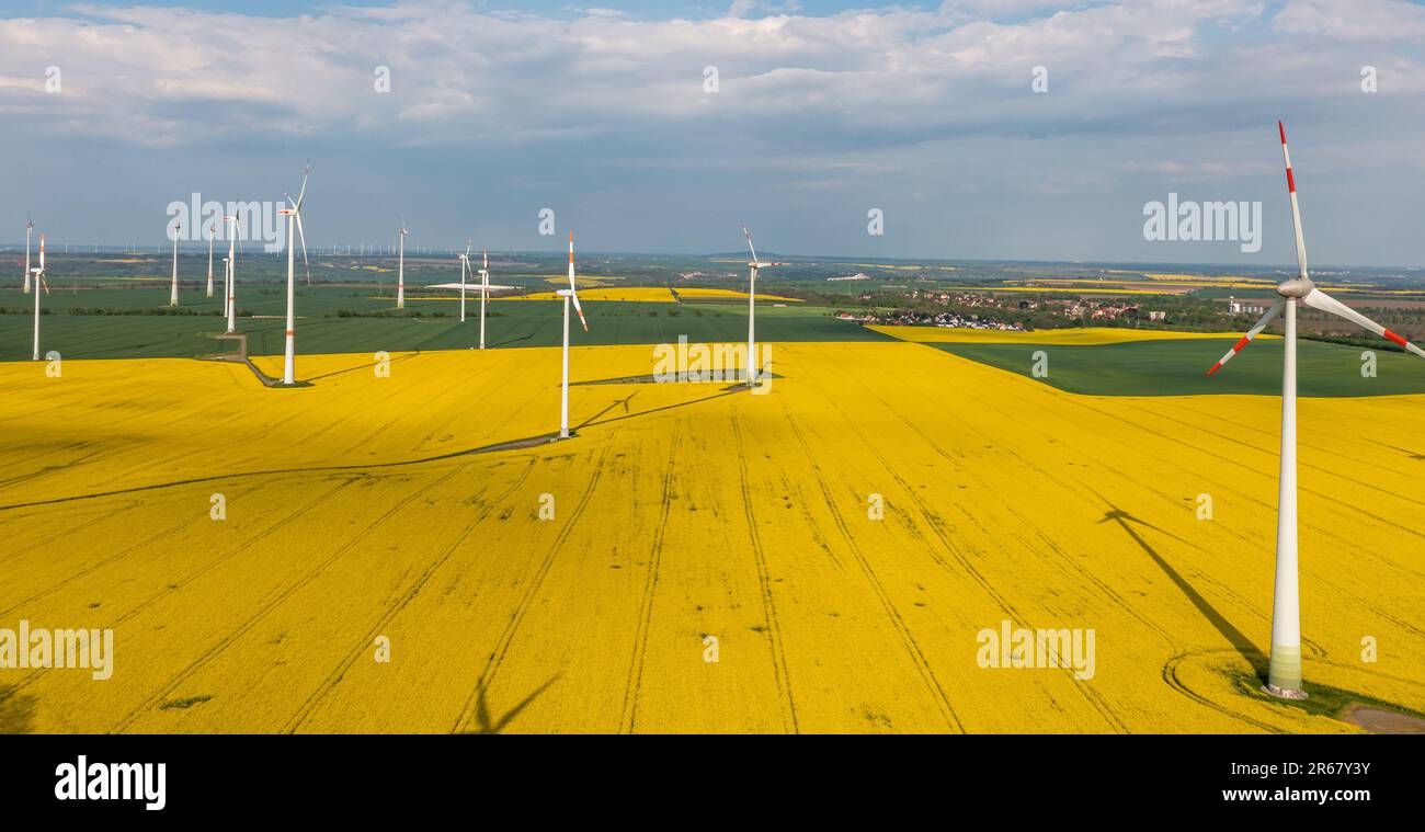 Grüne Energiegewinnung Windräder in Landschaft mit Rapsfeld Foto Stock