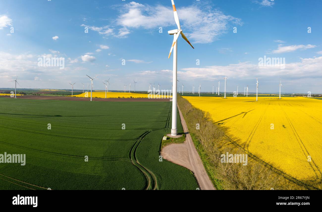 Grüne Energiegewinnung Windräder in Landschaft mit Rapsfeld Foto Stock