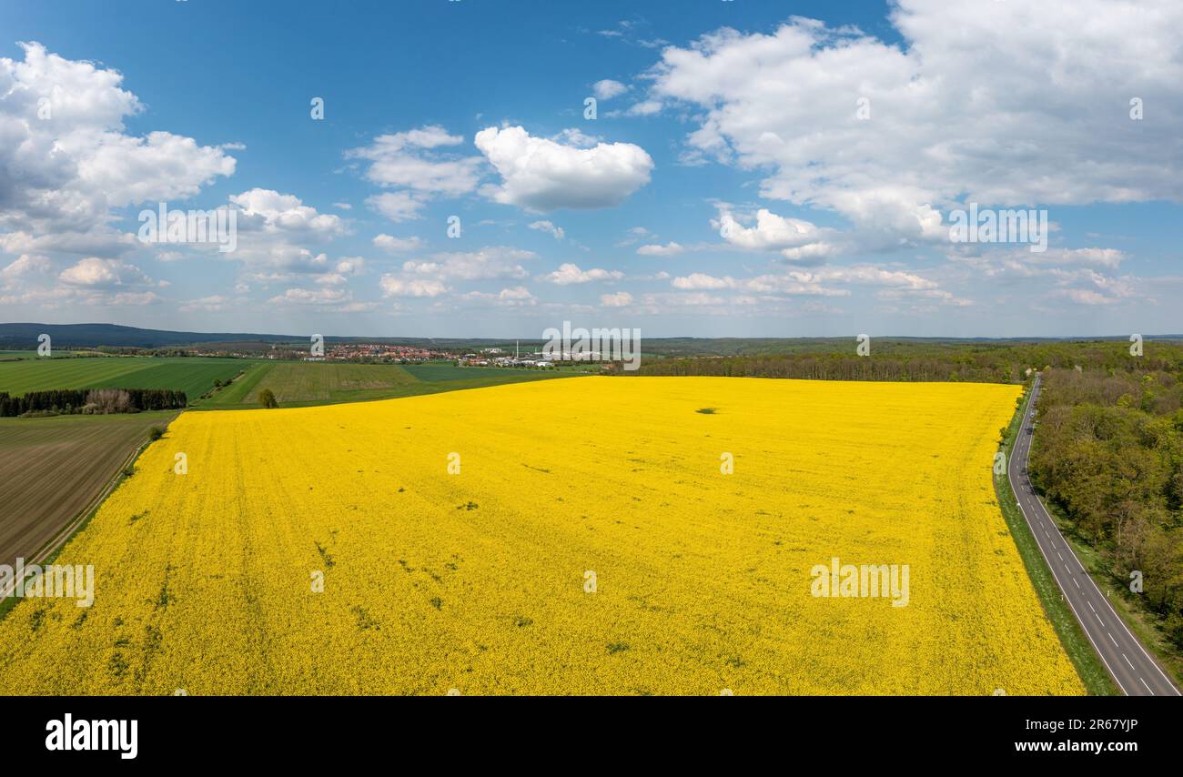 Grüne Energiegewinnung Windräder in Landschaft mit Rapsfeld Foto Stock