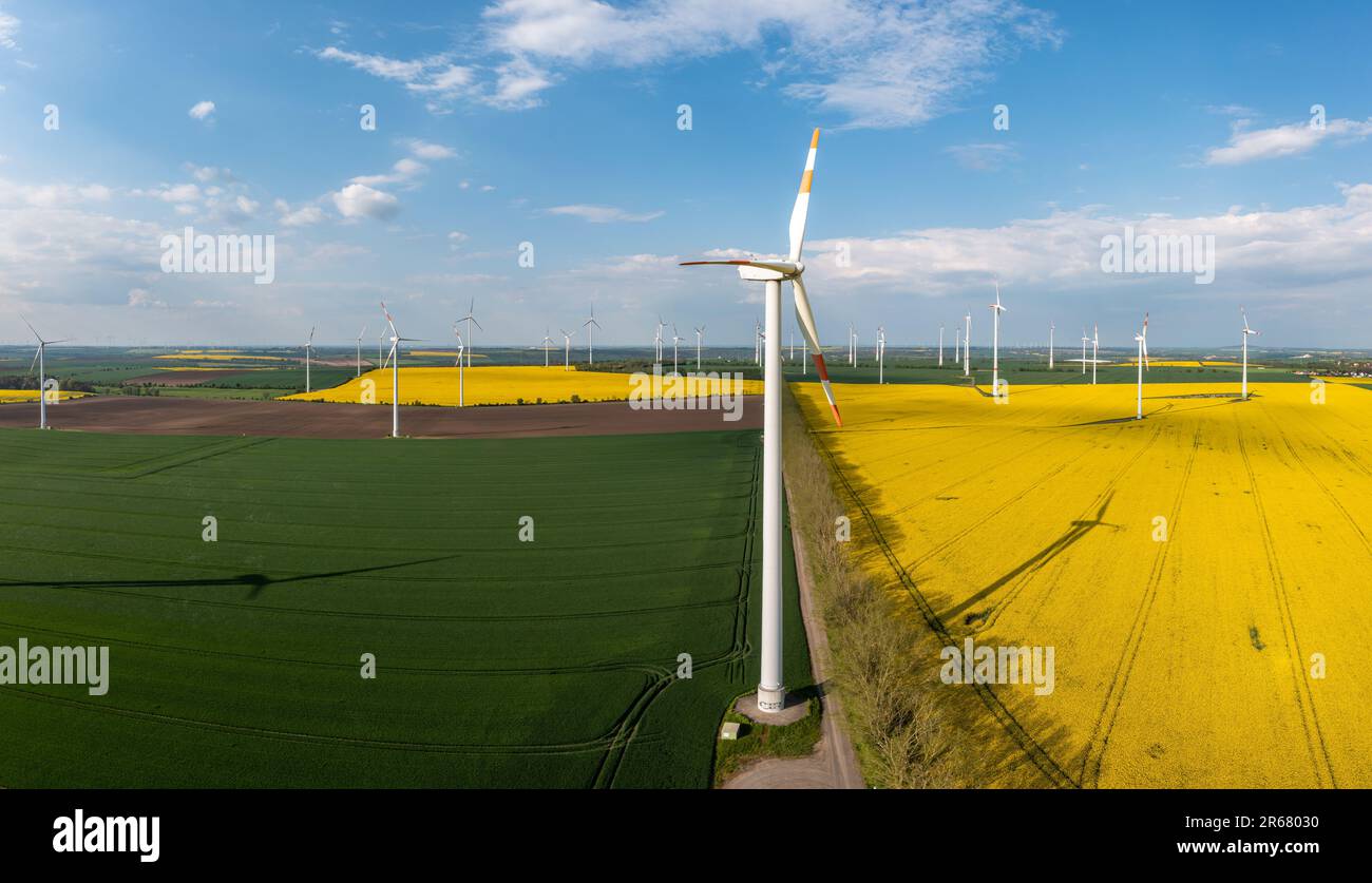 Grüne Energiegewinnung Windräder in Landschaft mit Rapsfeld Foto Stock