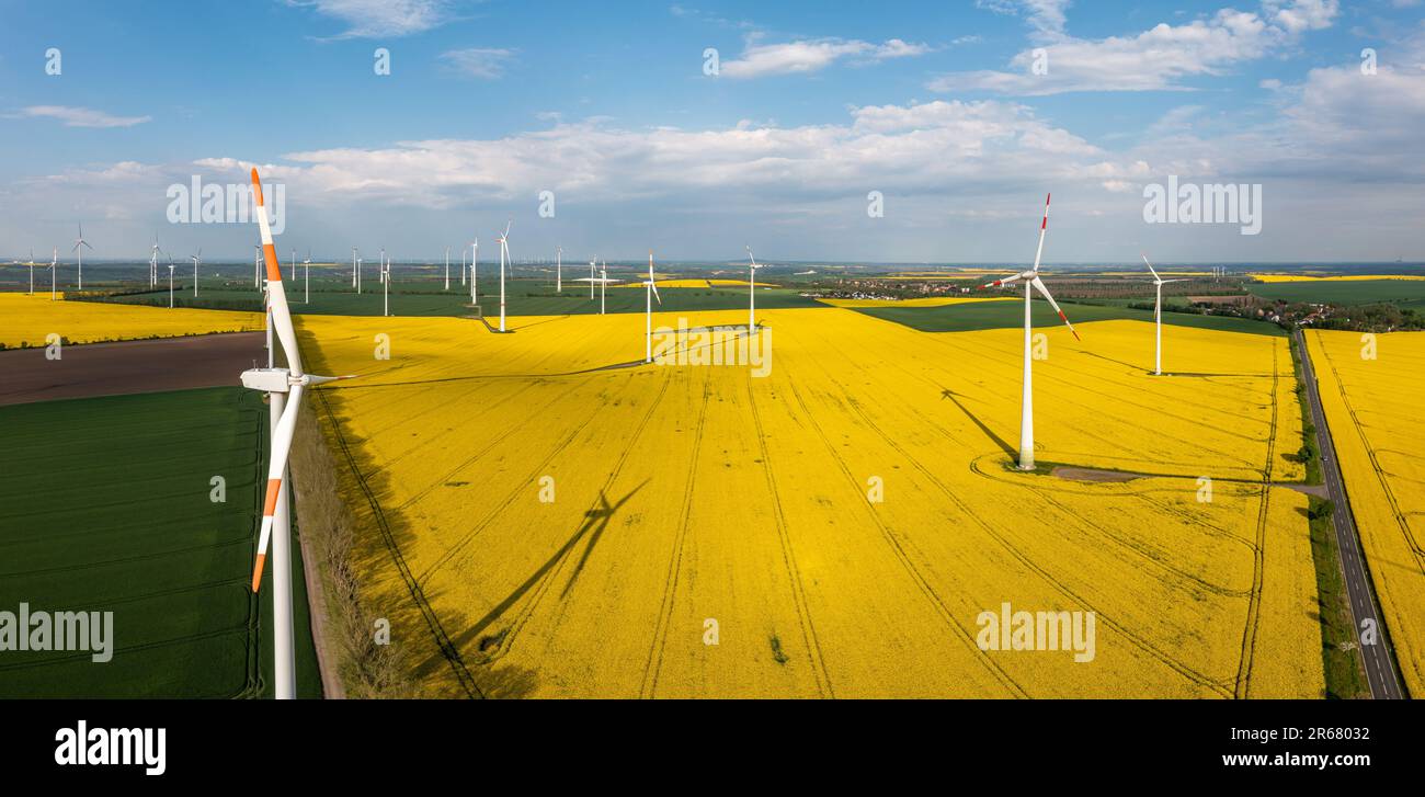 Grüne Energiegewinnung Windräder in Landschaft mit Rapsfeld Foto Stock