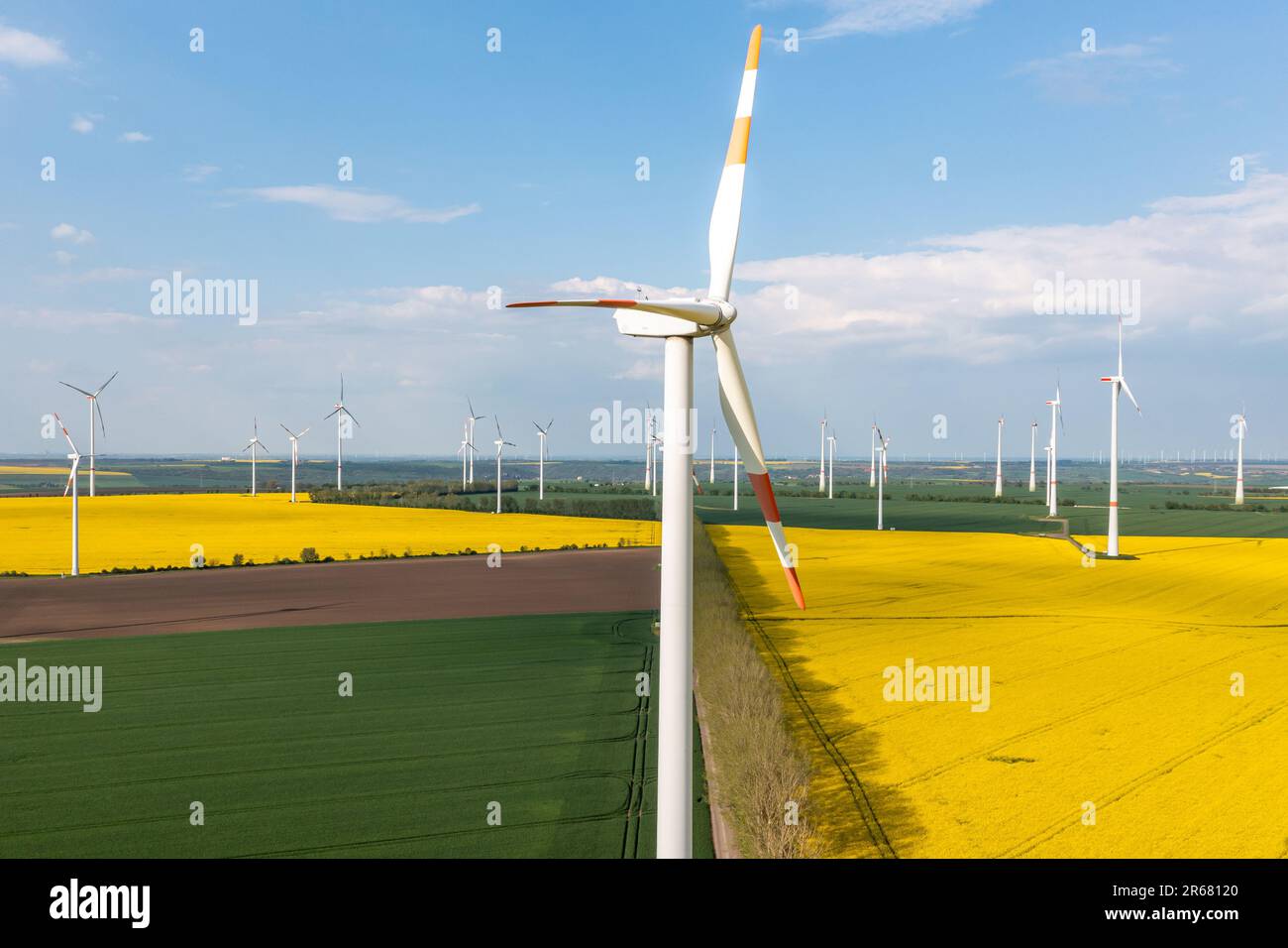 Grüne Energiegewinnung Windräder in Landschaft mit Rapsfeld Foto Stock