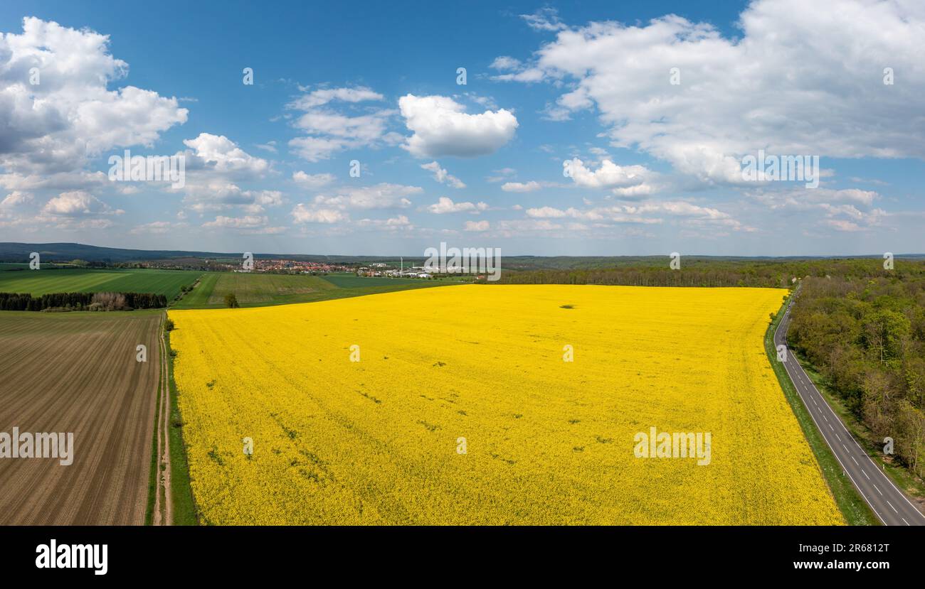 Grüne Energiegewinnung Windräder in Landschaft mit Rapsfeld Foto Stock