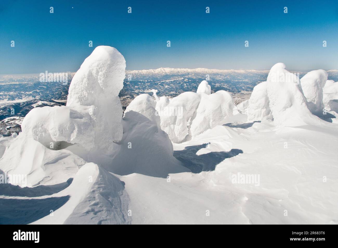 Gelo alberi coperti in Zao Foto Stock