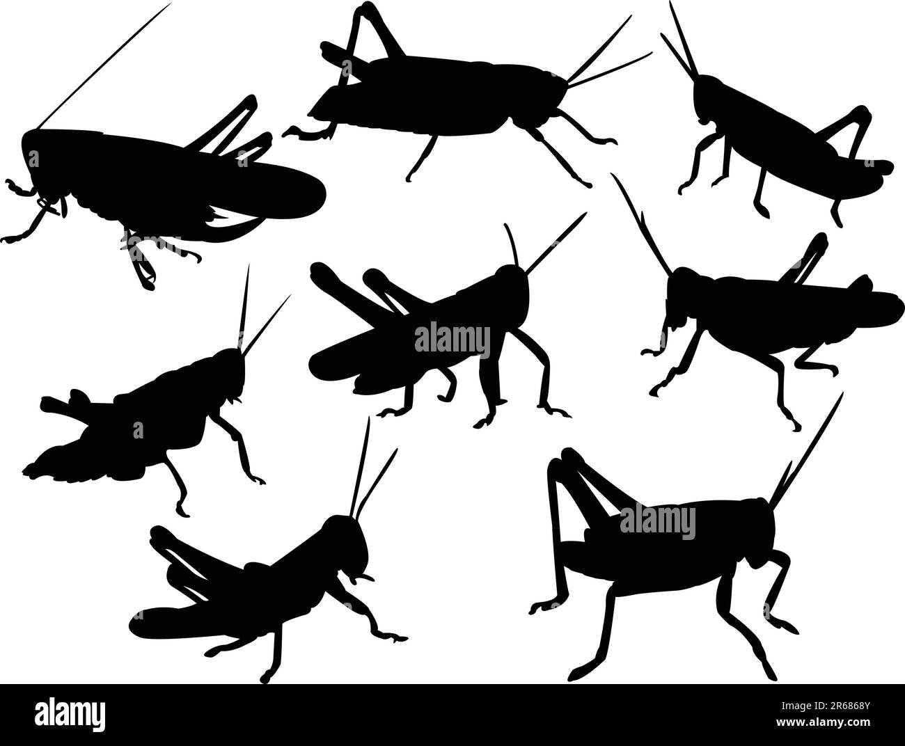 grasshoppers silhouette collection - vector Illustrazione Vettoriale
