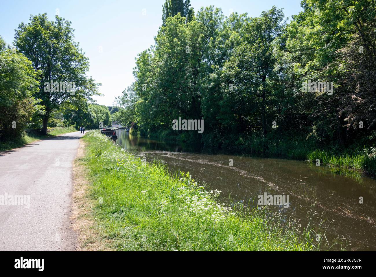 Ponte di Calverley, Rodley, Leeds, una sezione del canale nel sole di giugno Foto Stock