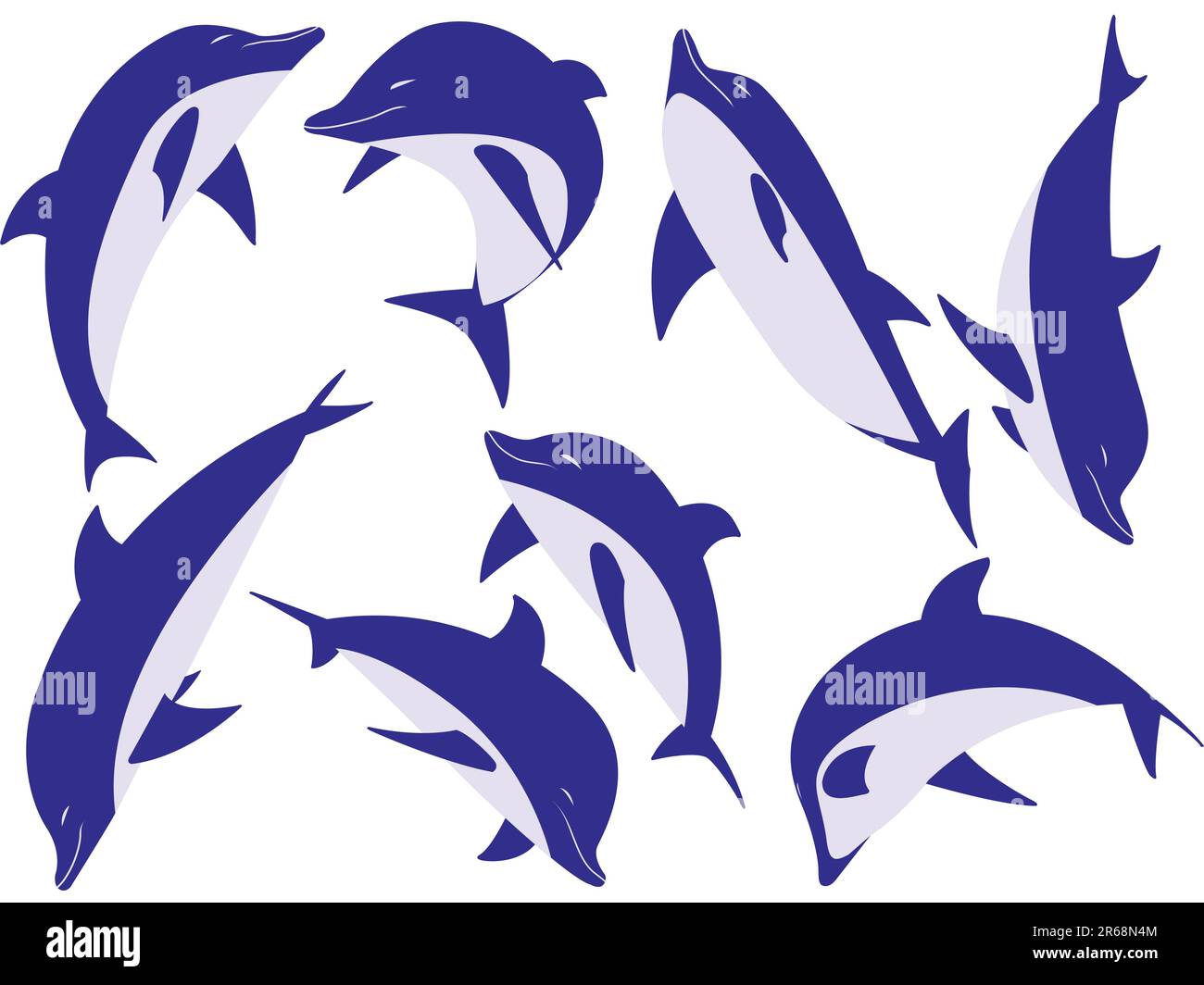 Delfini di animali marini in un vettore isolato su uno sfondo bianco Illustrazione Vettoriale