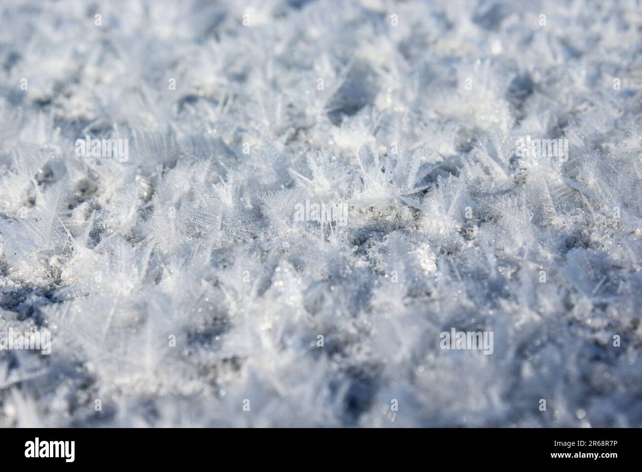 Primo piano della neve. Foto di alta qualità. Foto Stock