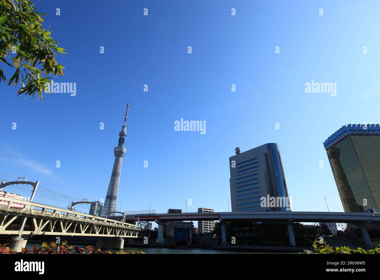 Sumida Ward Office e Tokyo Sky Tree Foto Stock