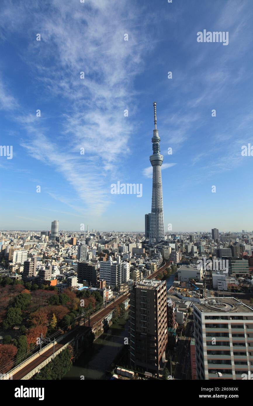 Il parco Sumida e Tokyo Sky Tree Foto Stock