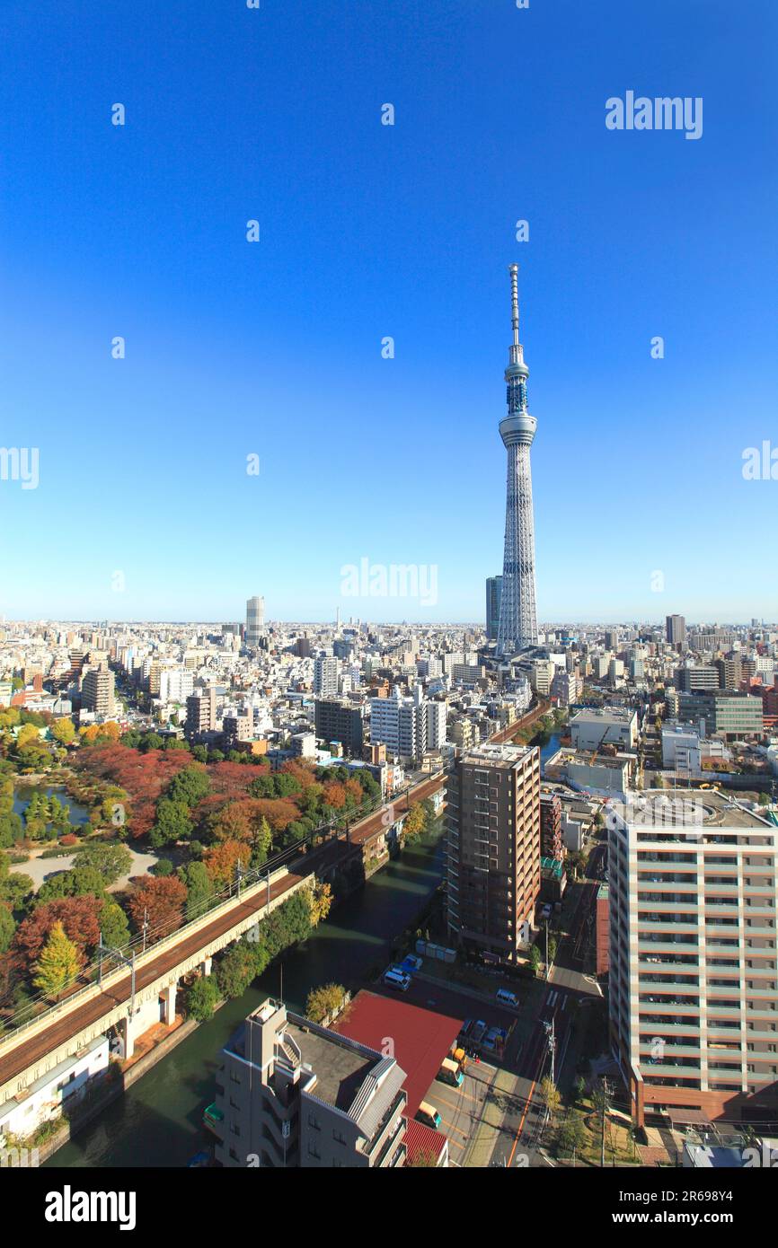 Il parco Sumida e Tokyo Sky Tree Foto Stock