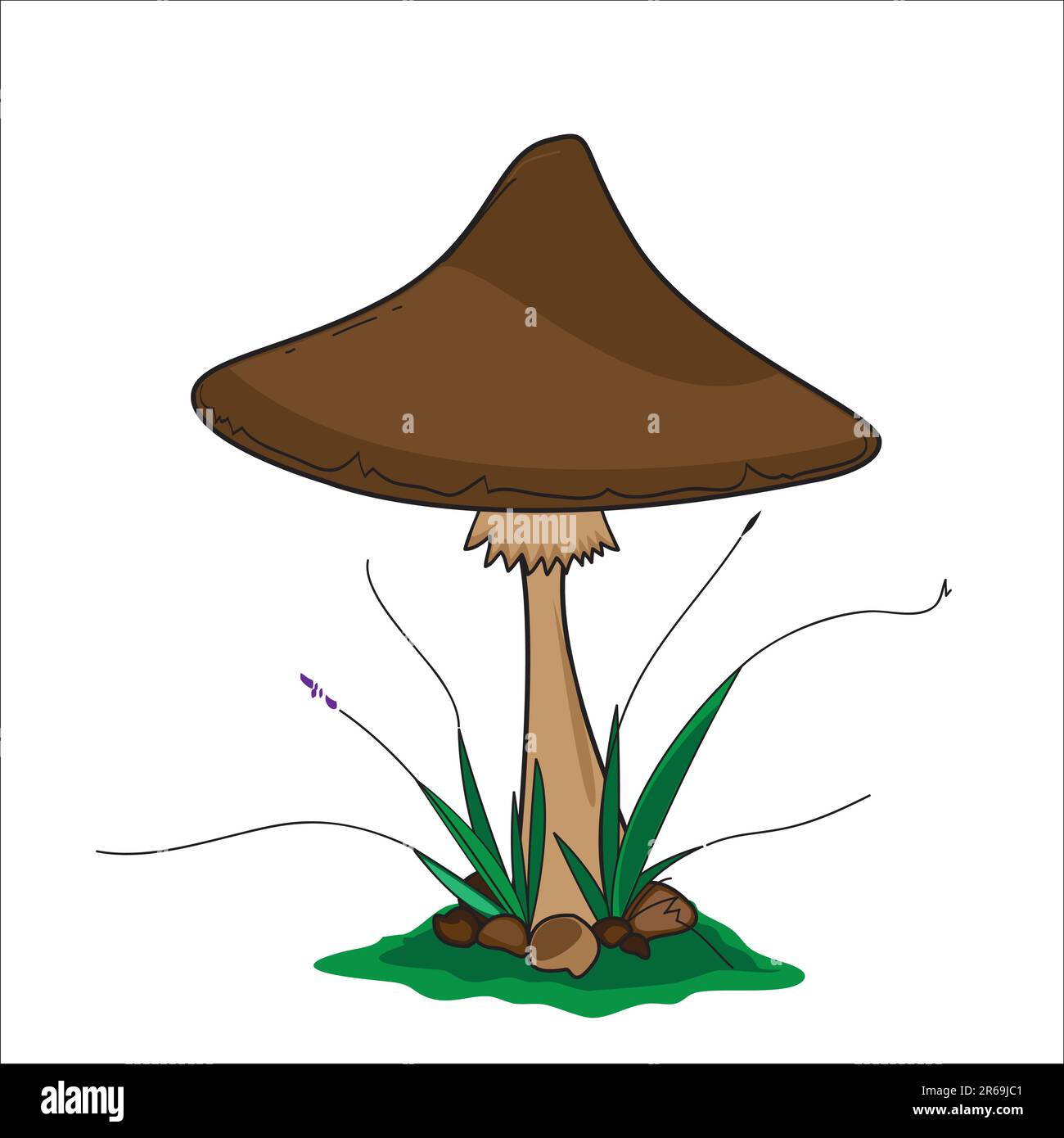 Foresta di funghi. Illustrazione Vettoriale