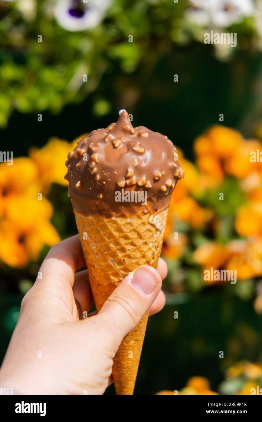 Donna che tiene un delizioso gelato alla vaniglia americana al cioccolato. Gustoso gelato fatto in casa nel cono dei waffle. Gelato vegano senza glutine senza latticini. Foto Stock