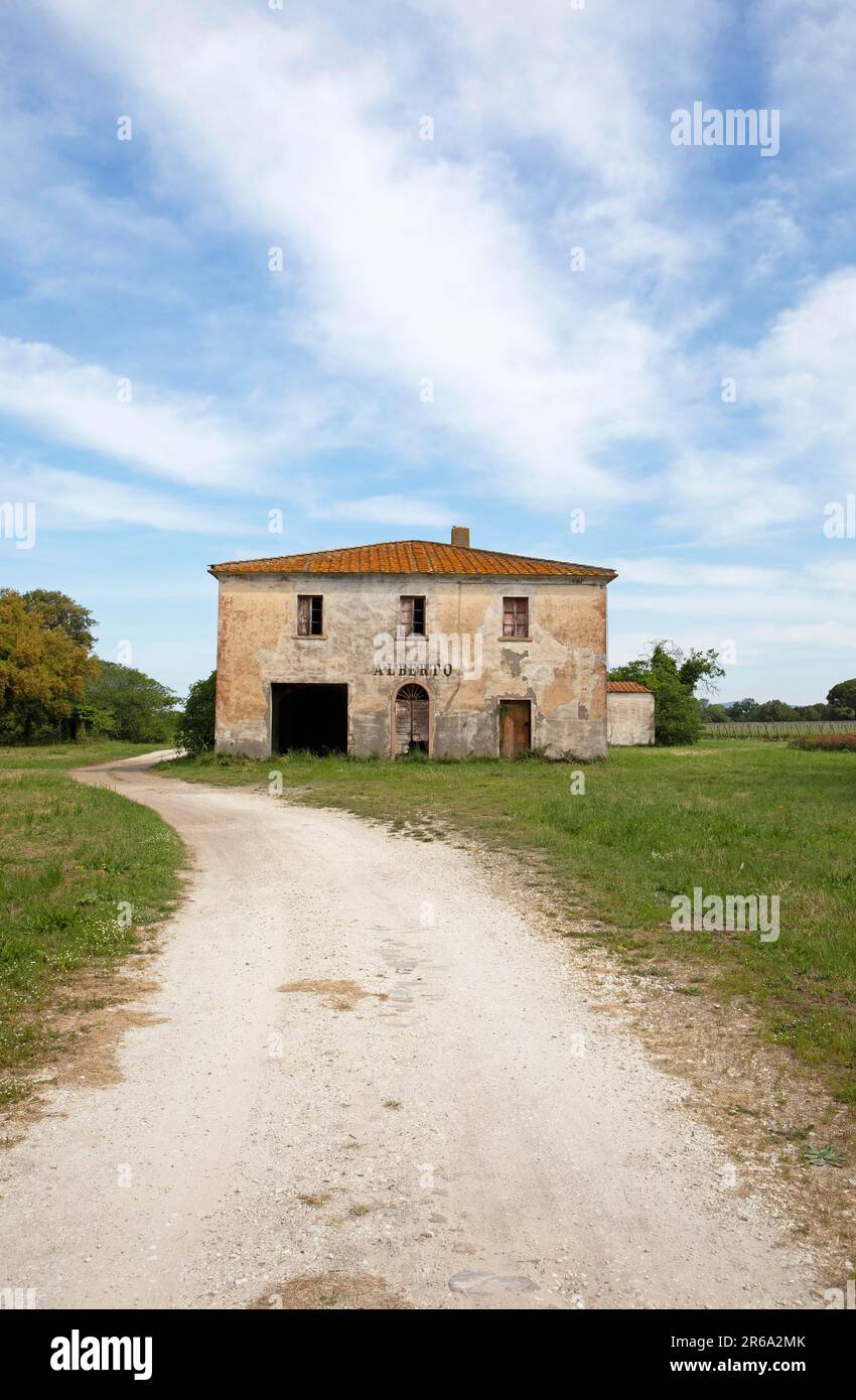 Casa di campagna tradizionale, Toscana, Italia Foto Stock