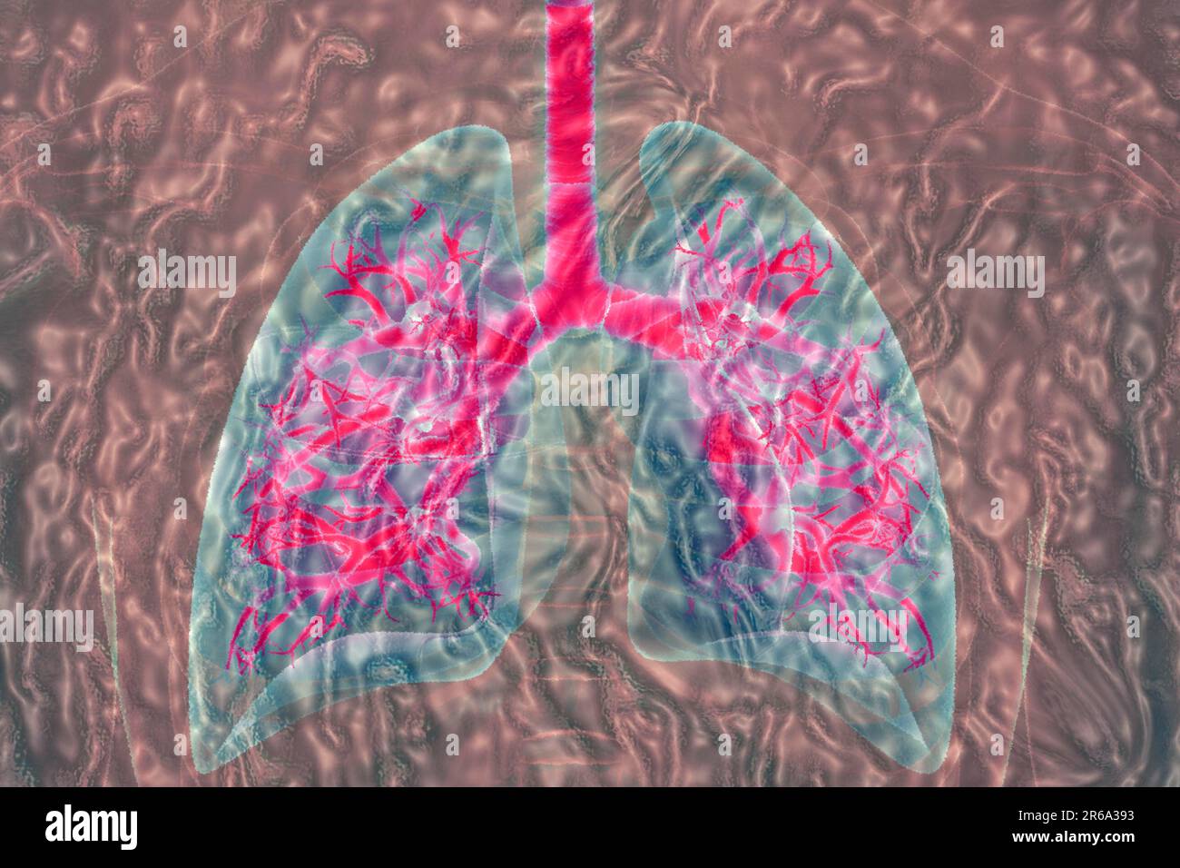 I bronchi si trovano nei polmoni e sono organi, illustrazione, scienza naturale, biologia, illustrazione, scienze naturali, biologia, arte astratta Foto Stock