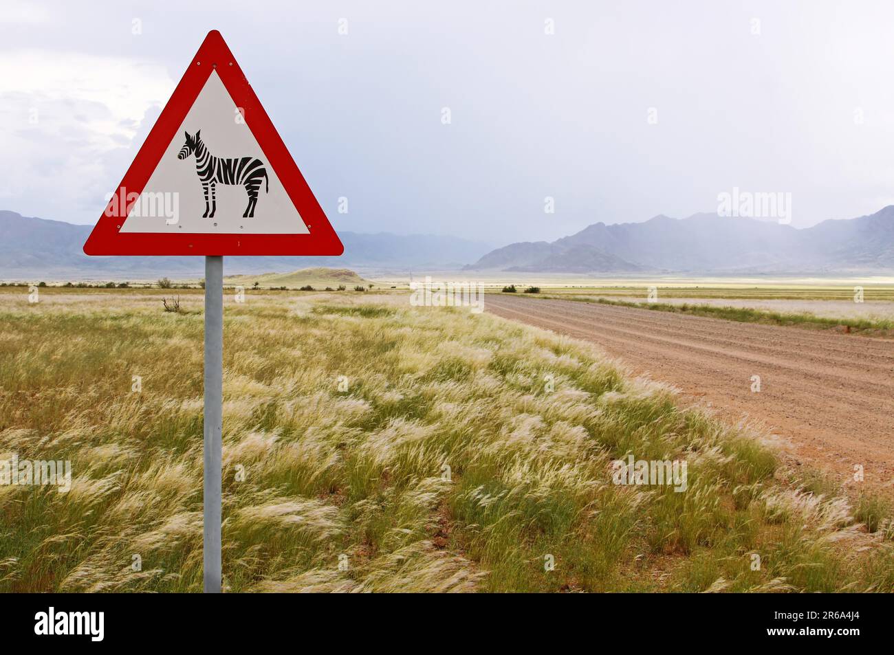 Cartello di avvertimento Zebra game change in Namibia, cartello in una strada in Namibia Foto Stock