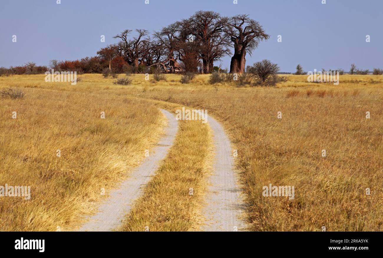 Punzone Foto Stock