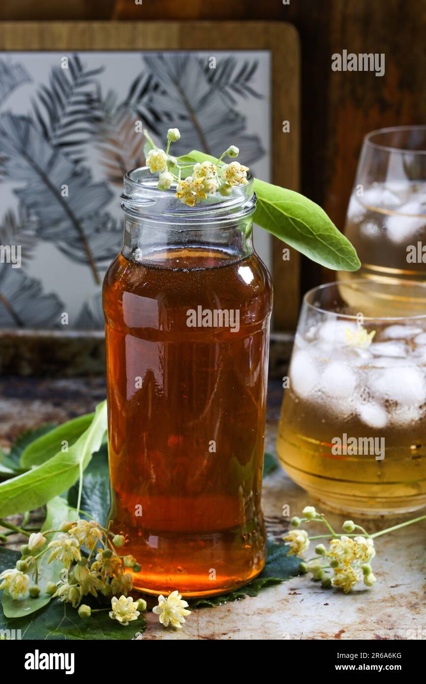 Linden fiori sciroppo concentrato fatto in casa Foto Stock