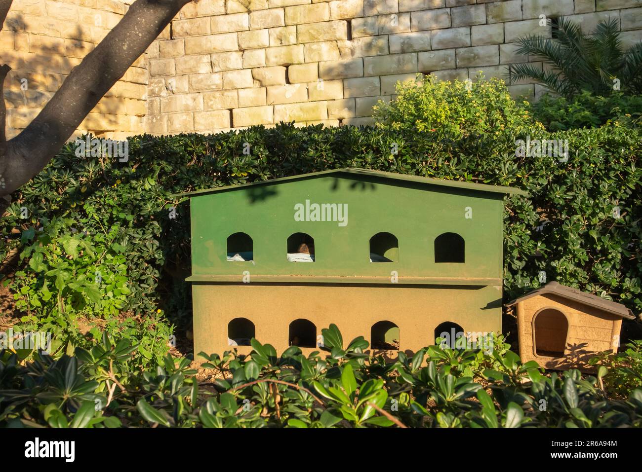Casa per gatti senzatetto a Malta nel parco cittadino all'aperto. Appositamente costruito per i gatti randagi al riparo dalla pioggia e dal sole. Gatto che dorme dentro. Foto Stock Casa per gatti senzatetto a Malta nel parco cittadino all'aperto. Appositamente costruito per i gatti randagi al riparo dalla pioggia e dal sole. Gatto che dorme dentro. Foto Stock