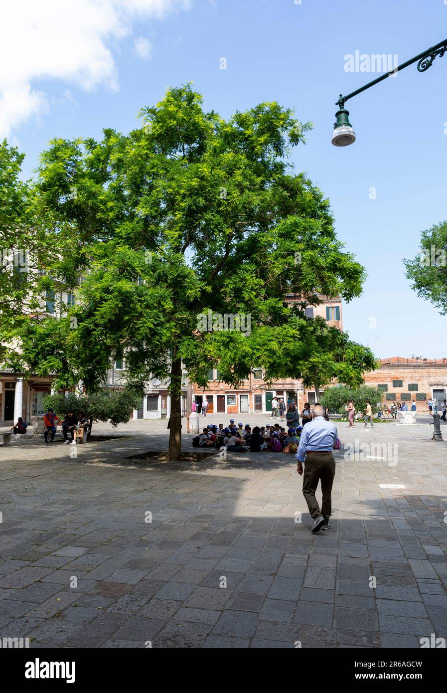 I bambini delle scuole a Venezia si rifugiano all'ombra di un albero nel mezzo della piazza dello storico Ghetto ebraico Foto Stock