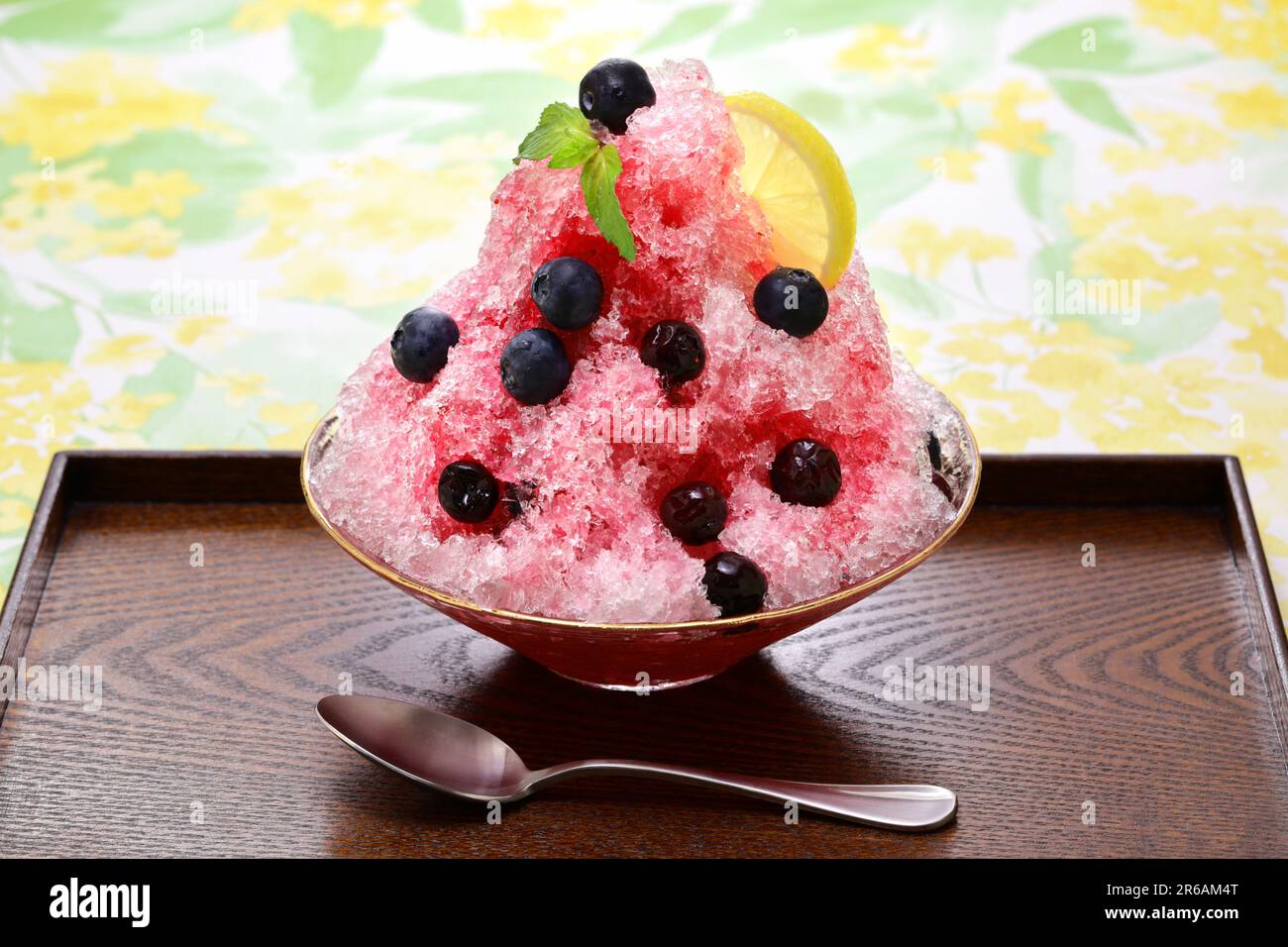 gelato fatto in casa ai mirtilli, dessert estivo freddo Foto Stock