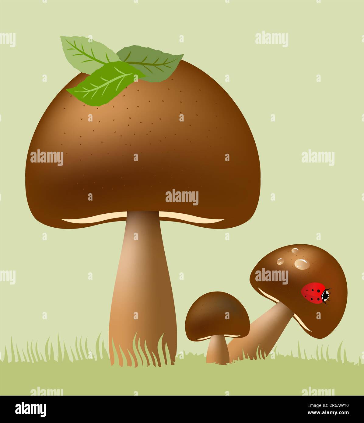 Illustrazione dei funghi commestibili vettoriali Illustrazione Vettoriale