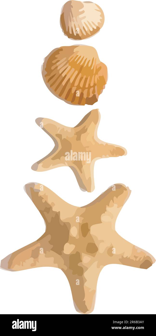 Stelle marine vettoriali e conchiglie isolate su sfondo bianco Illustrazione Vettoriale