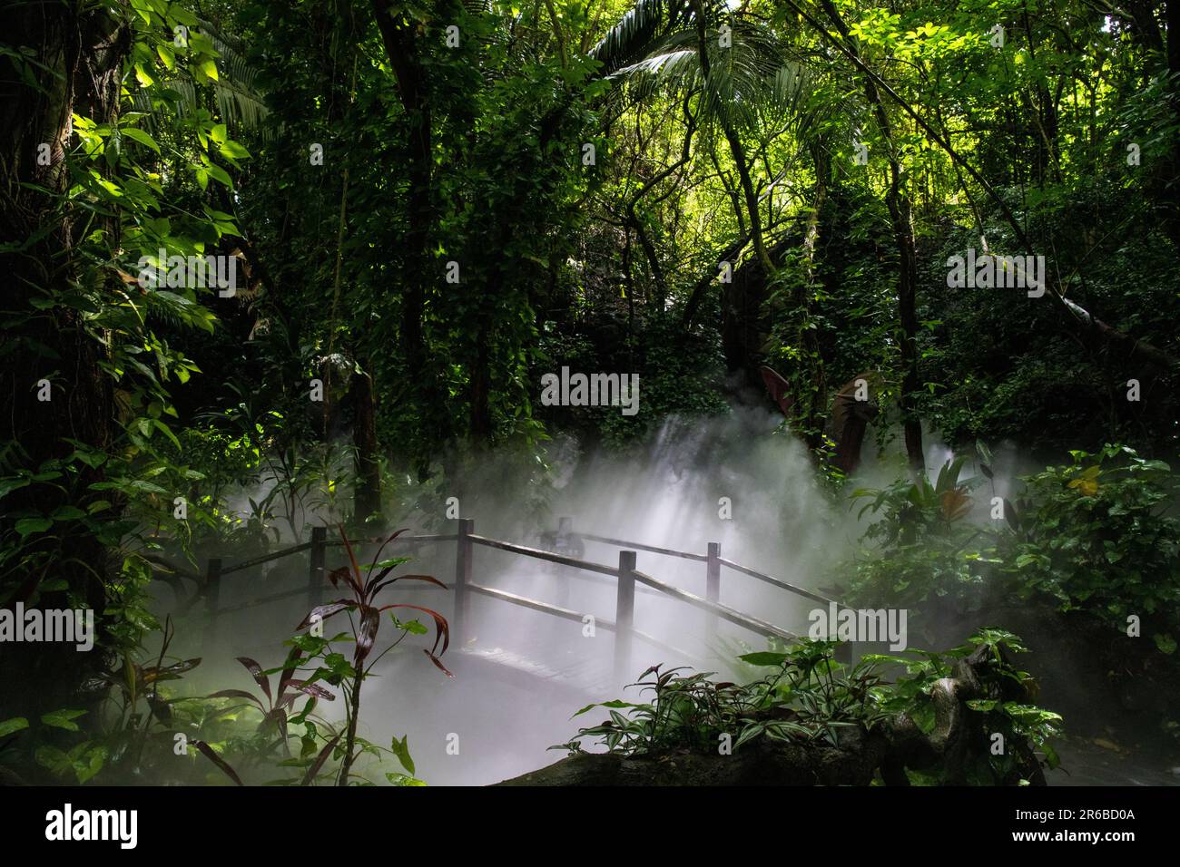 Misty ponte pedonale in una foresta pluviale tropicale Foto Stock