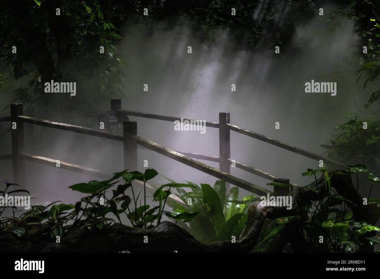 Misty ponte pedonale in una foresta pluviale tropicale Foto Stock