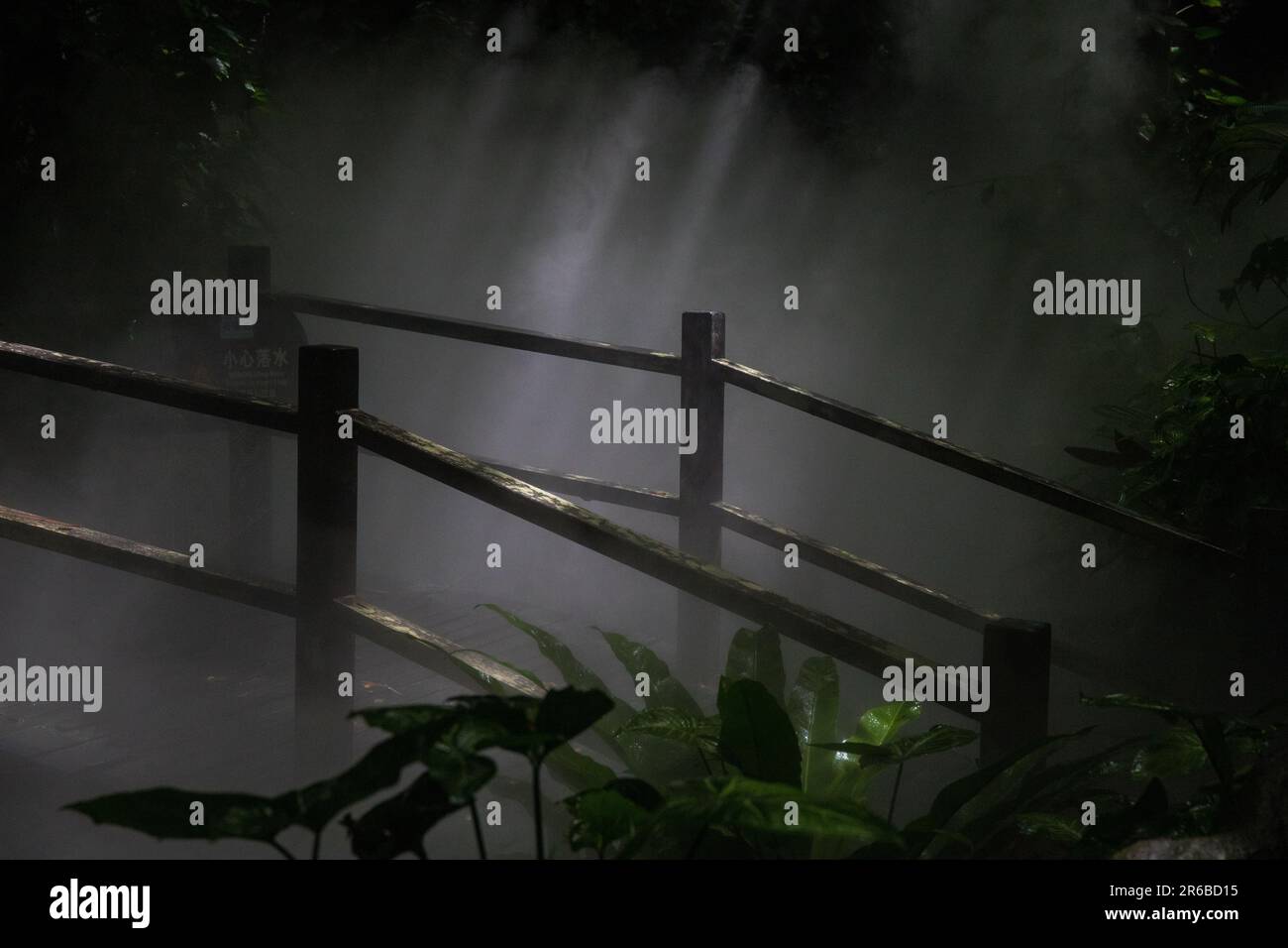 Misty ponte pedonale in una foresta pluviale tropicale Foto Stock
