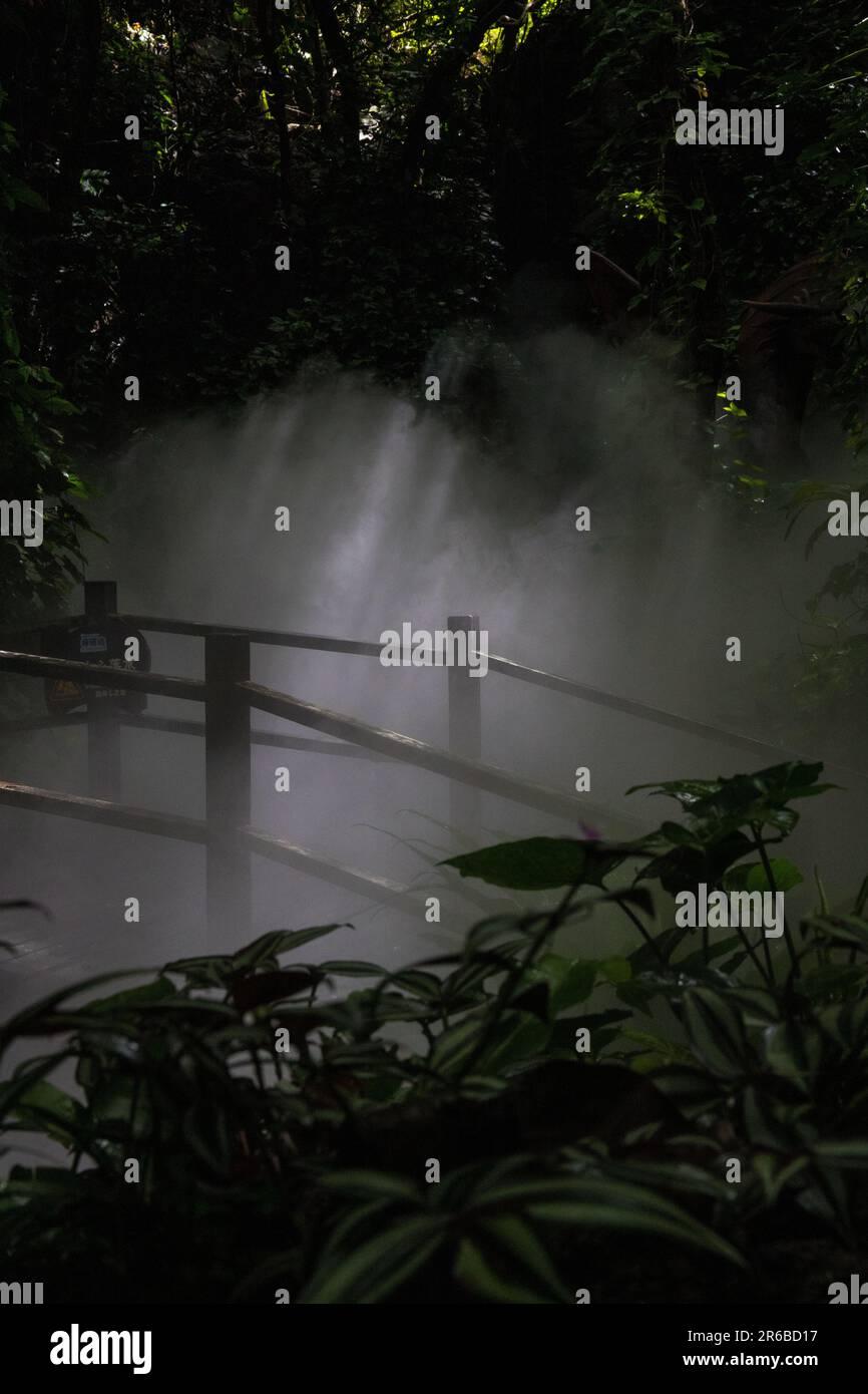 Misty ponte pedonale in una foresta pluviale tropicale Foto Stock