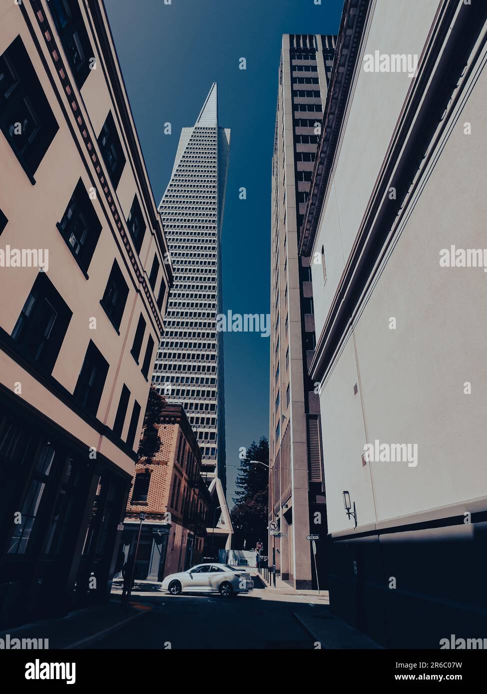 Edifici alti e moderni tra uno skyline urbano Foto Stock
