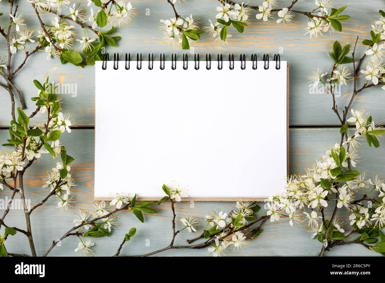 Taccuino di carta aperto con pagina vuota su un tavolo di legno blu con fiori di ciliegio. Vista dall'alto, disposizione piatta, spazio di lavoro su sfondo blu. Foto Stock