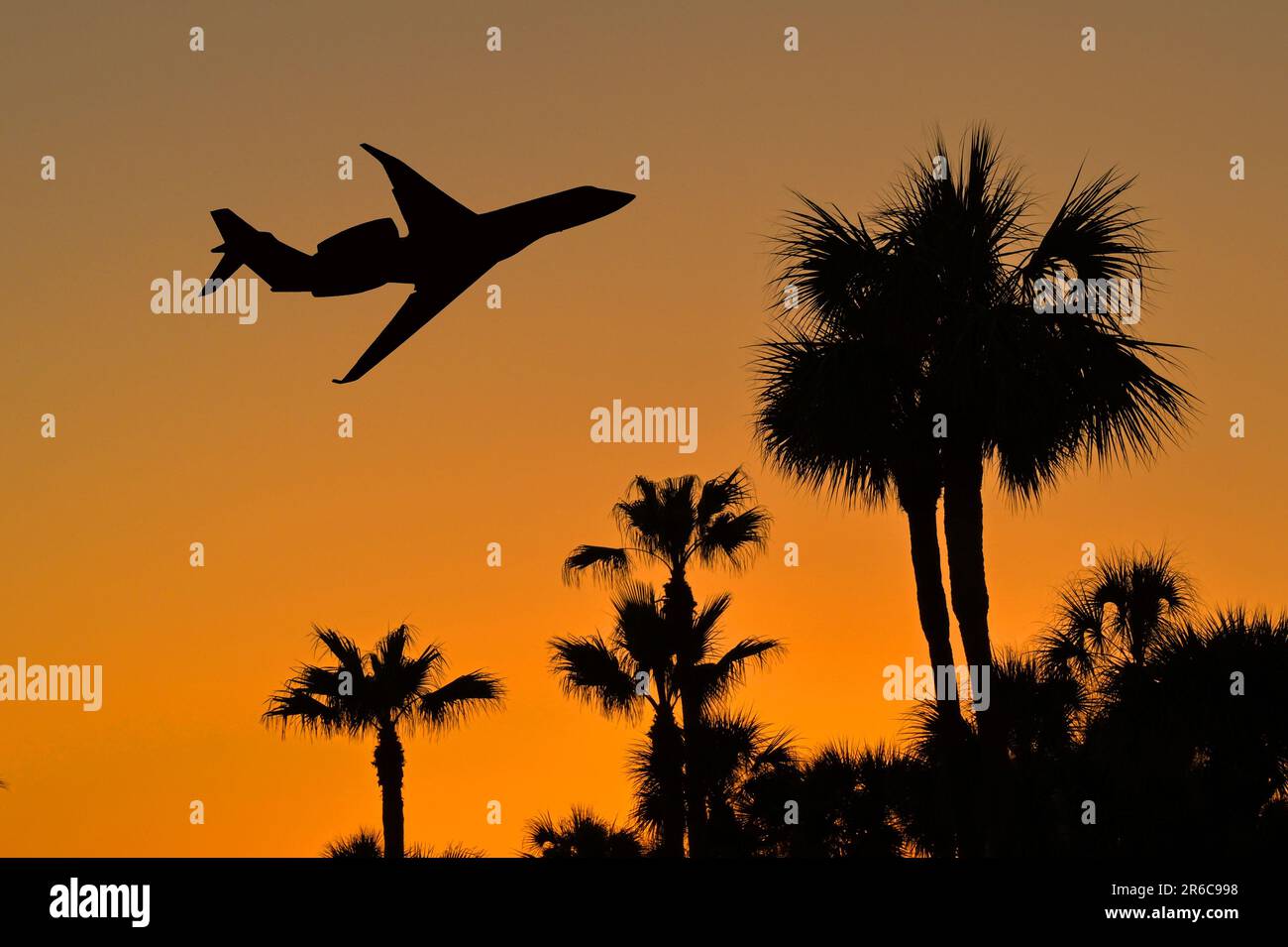 Silhouette di un jet privato executive che decolora le palme al tramonto. Nessuna gente. Concetto di viaggio Foto Stock