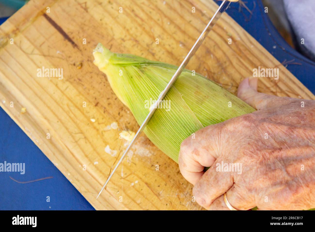 Goiania, Goias, Brasile – 02 giugno 2023: Mani di una signora che taglia la punta della pannocchia di mais ancora con la buccia verde. Foto Stock