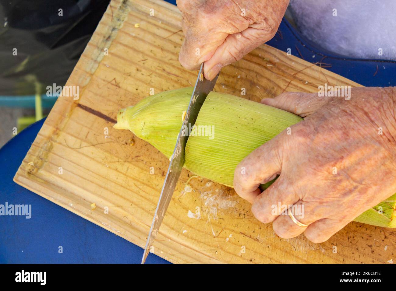 Goiania, Goias, Brasile – 02 giugno 2023: Mani di una signora che taglia la punta della pannocchia di mais ancora con la buccia verde. Foto Stock