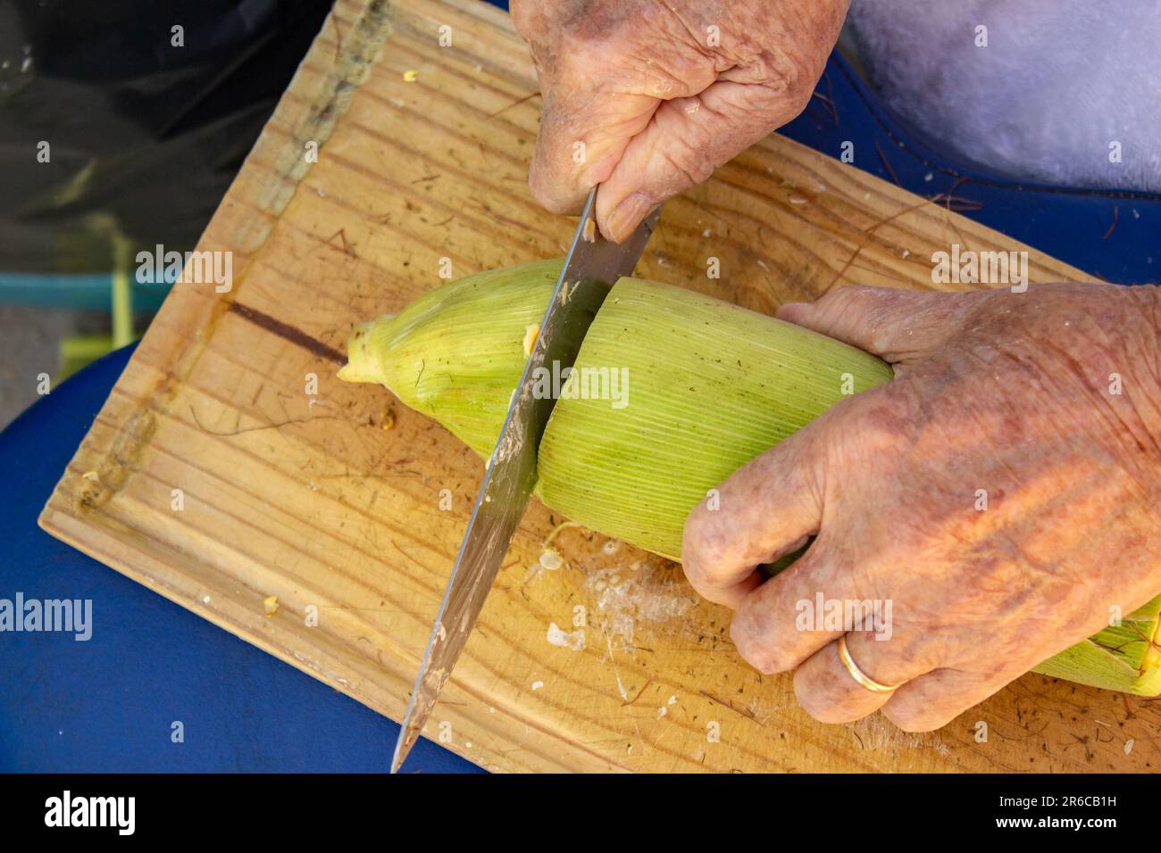 Goiania, Goias, Brasile – 02 giugno 2023: Mani di una signora che taglia la punta della pannocchia di mais ancora con la buccia verde. Foto Stock