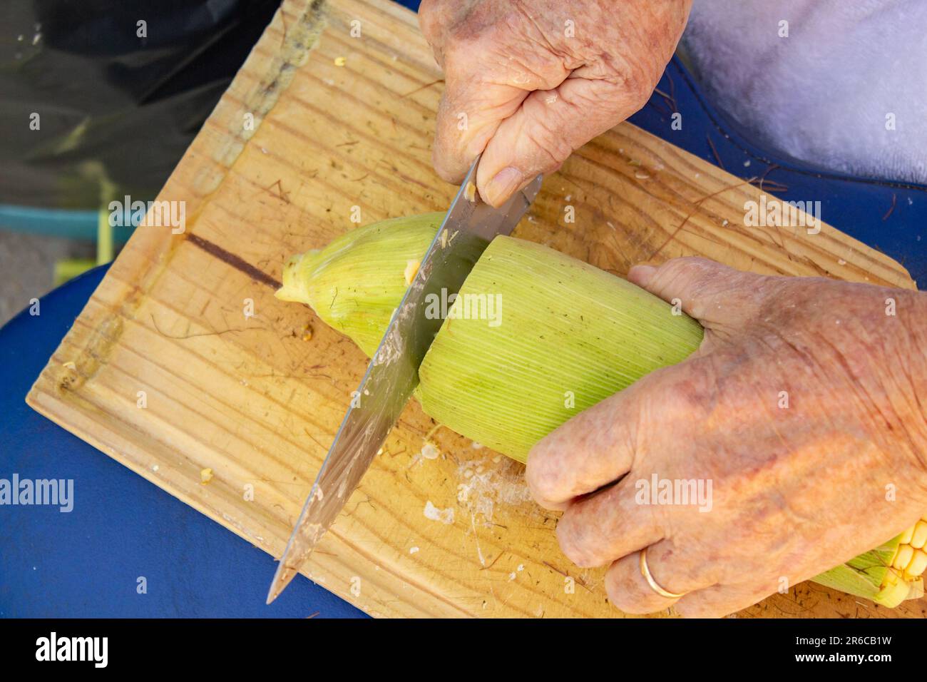 Goiania, Goias, Brasile – 02 giugno 2023: Mani di una signora che taglia la punta della pannocchia di mais ancora con la buccia verde. Foto Stock
