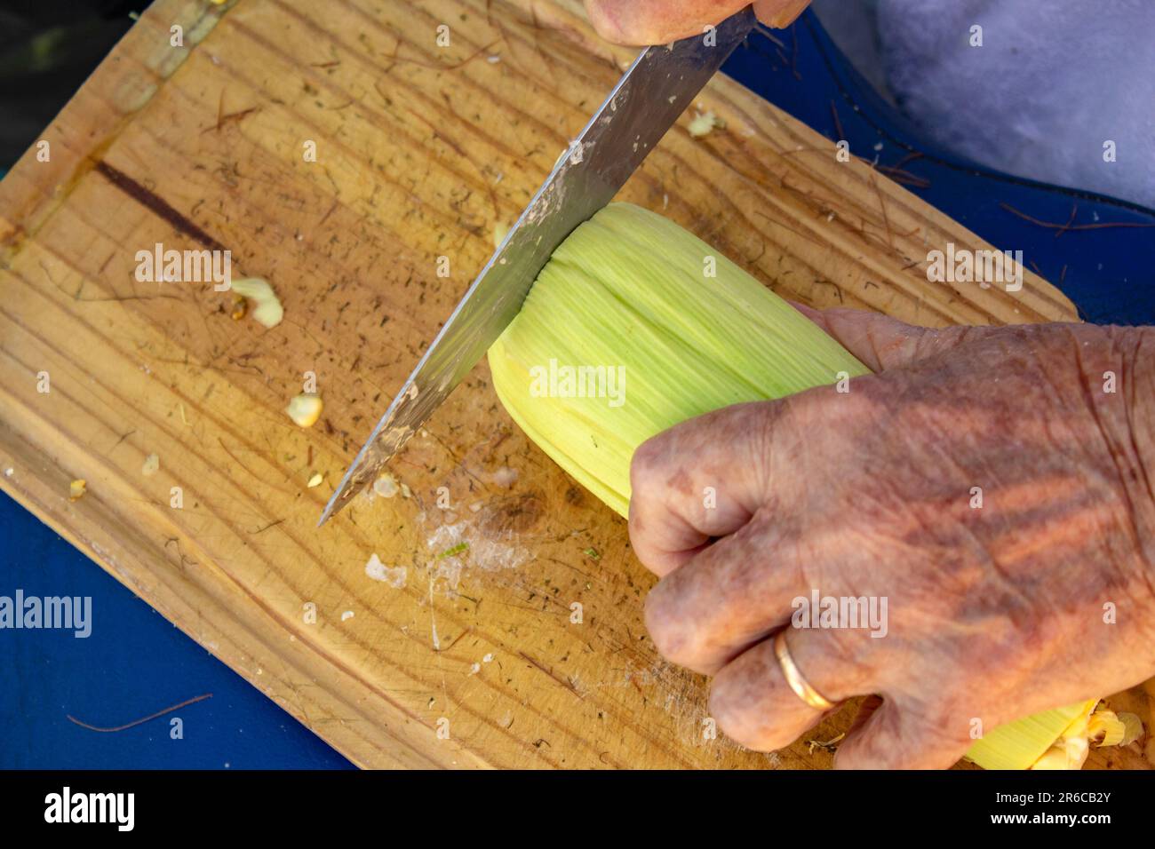 Goiania, Goias, Brasile – 02 giugno 2023: Mani di una signora che taglia la punta della pannocchia di mais ancora con la buccia verde. Foto Stock