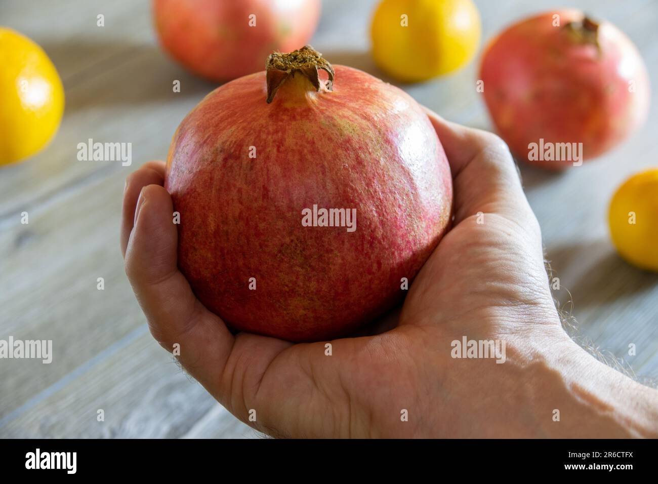 Melograno fresco maturo in primo piano contro altri melograni e arance. Sfondo sfocato Foto Stock