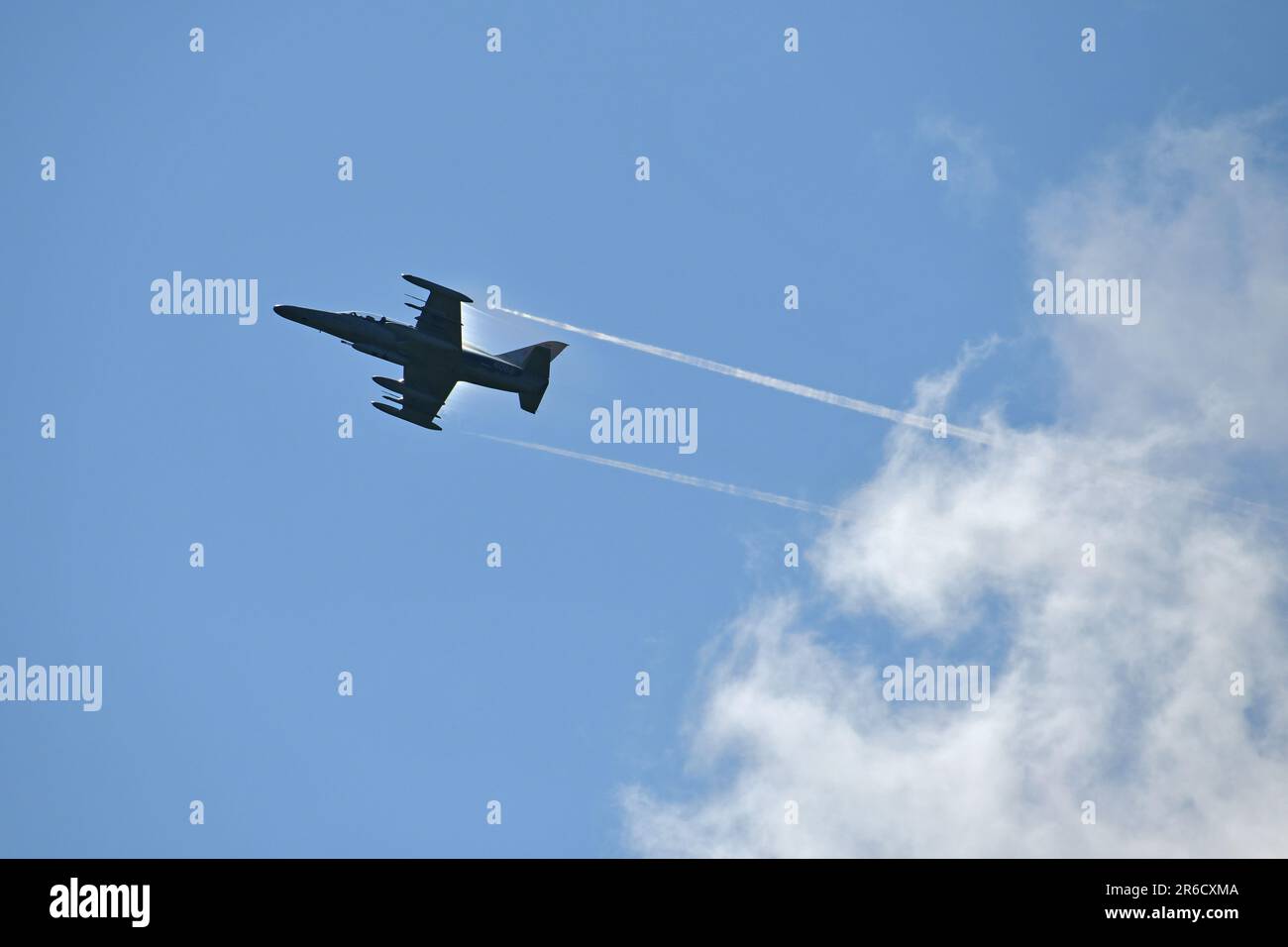 La forza aerea ceca L-159 ALCA (Advanced Light Combat Aircraft) sorvola i controllori di attacchi terminali combinati come parte dell'esercizio Adriatic Strike 2023 presso la gamma Pocek, Postojna, Slovenia, 7 giugno 2023. L'integrazione aria-terra mira a fornire un ambiente multilaterale in cui le forze partecipanti possano esercitare e applicare tecniche, tattiche e procedure standardizzate in un ambiente teatrale realistico. Le forze militari multinazionali e i beni aerei provenienti da 30 nazioni alleate e partner della NATO partecipano all'esercizio dello Sciopero Adriatico 2023 in Slovenia. (STATI UNITI Foto dell'esercito di Paolo Bovo) Foto Stock