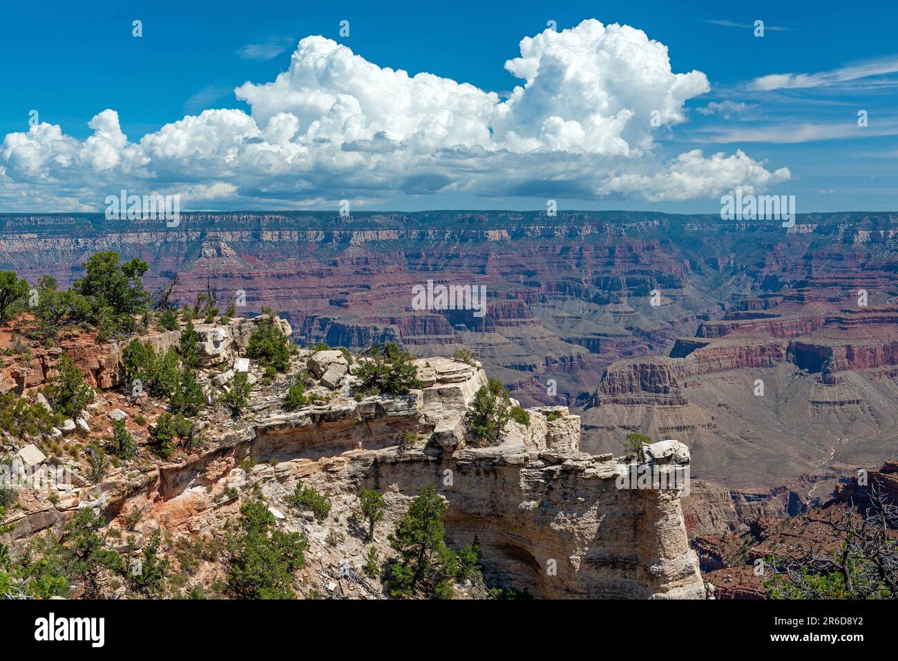 Paesaggio del Grand Canyon, parco nazionale del Grand Canyon, Arizona, USA. Foto Stock