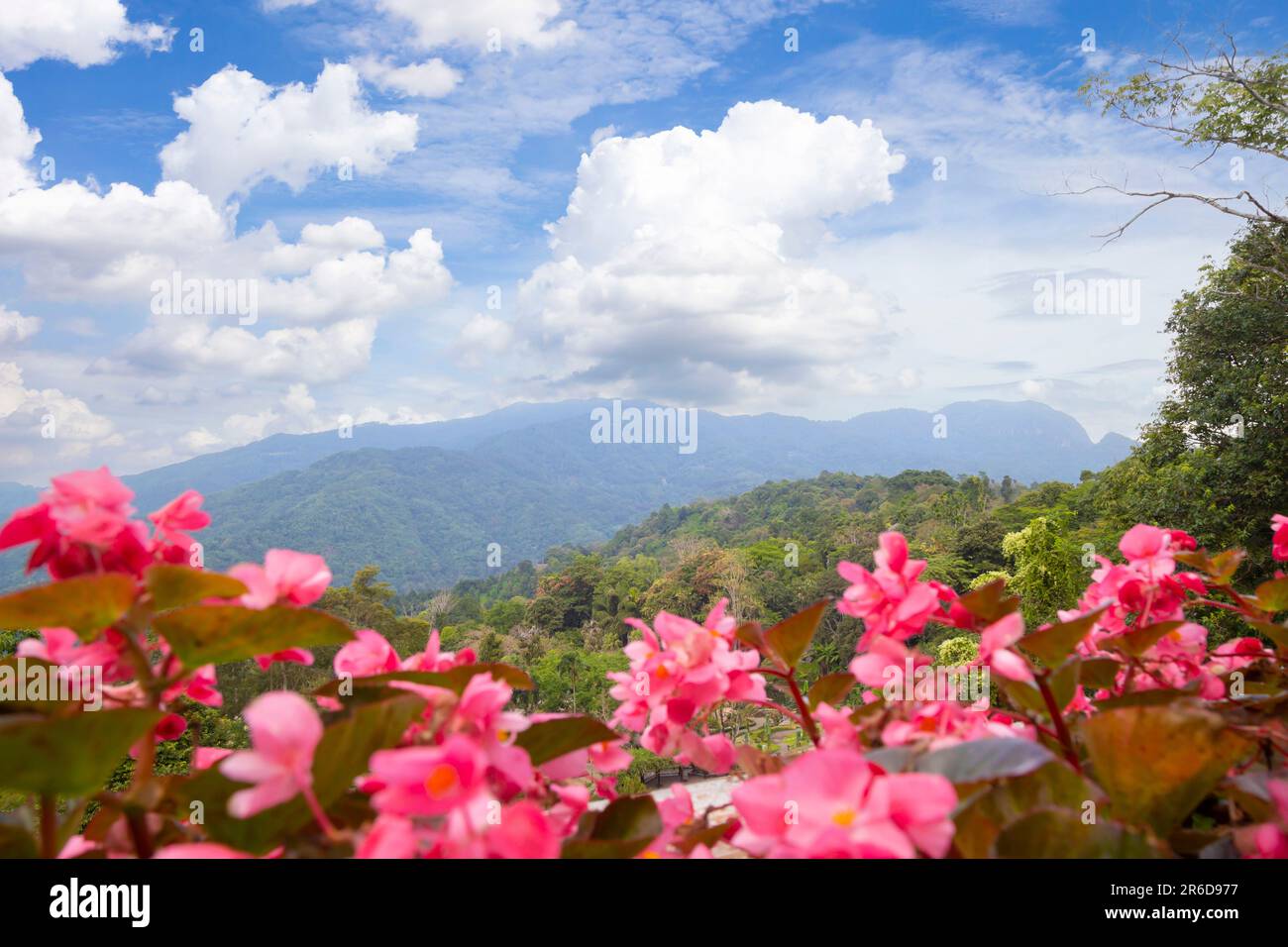 Paesaggio naturale che domina le belle montagne e gli alberi della Thailandia. Foto Stock