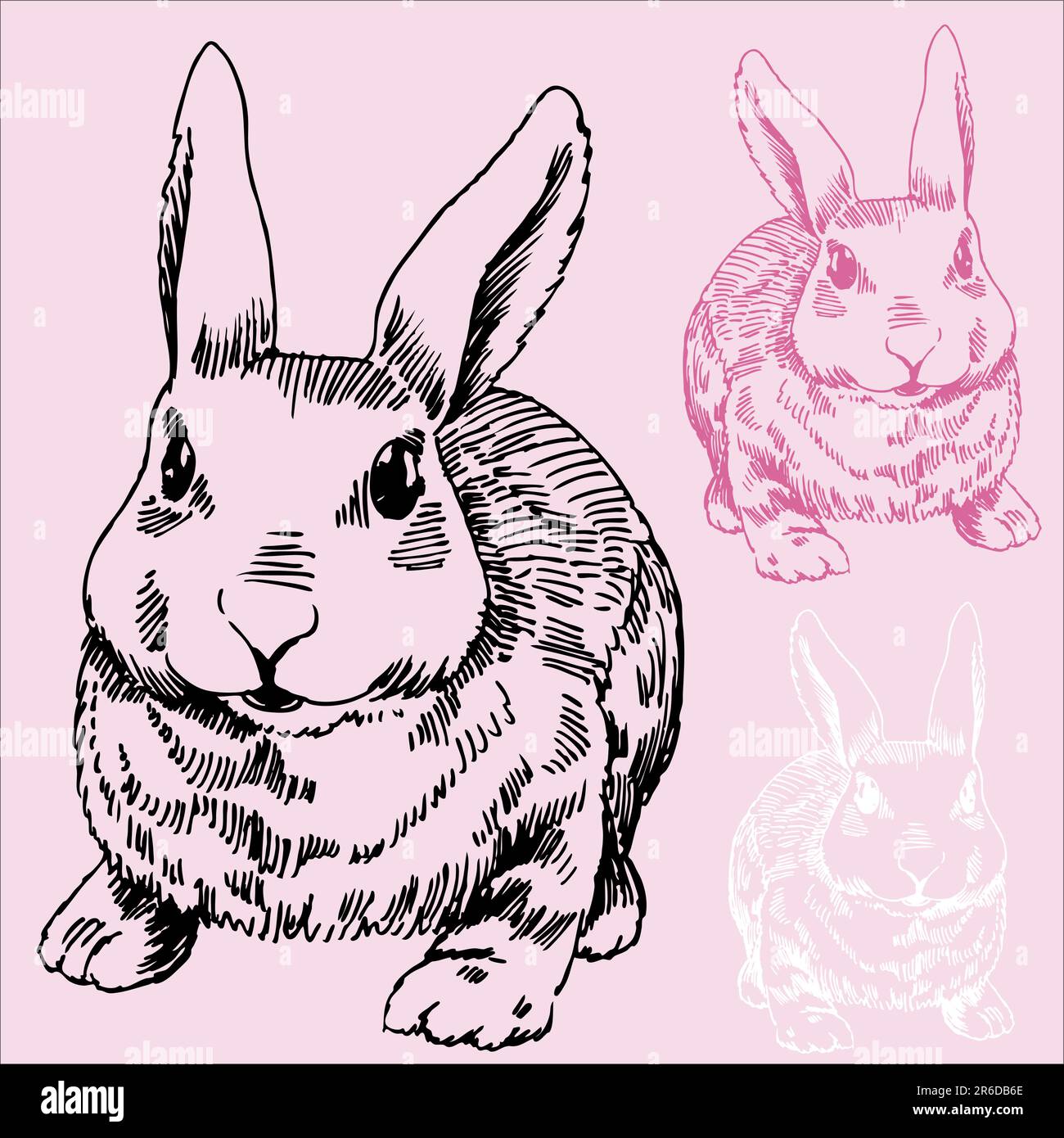 Disegno a mano di un coniglio/coniglio. Illustrazione Vettoriale