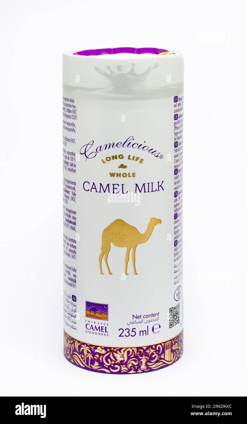 Latte di cammello Foto Stock